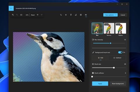 Windows 11 sắp có tính năng “hô biến” hình ảnh bằng AI cực “xịn”
