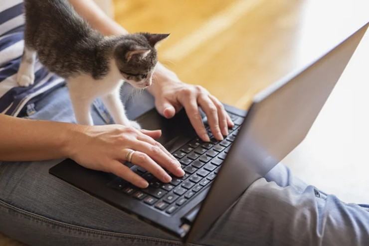 Chúng ta đang có quan điểm sai lầm khi sử dụng laptop trên đùi? - 2