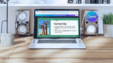 Hướng dẫn cách chỉnh sửa file PDF trong Canva siêu tiện lợi mà bạn nên biết