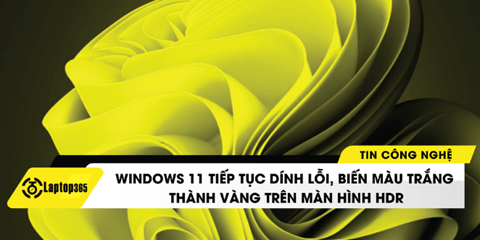 Microsoft  trên Windows 11 đang dính lỗi về màu sắc trên một số màn HDR 