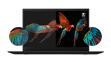 THINKPAD X1 CARBON 6TH - i5 8350U/ i7 8650U/ Graphics 620 3