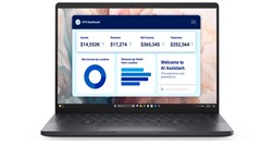 [Mới 100%] Dell Pro 13 Premium PA13250 (2025) 