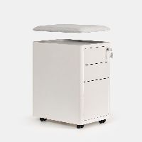 Tủ tài liệu thép di động HyperWork Ivy Pro MC04 9